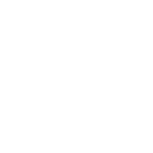 rapidfixir.com
